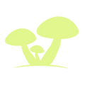 Antimicosi